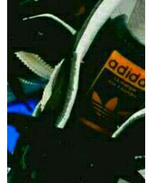 adidas | スニーカー