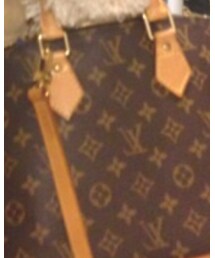 LOUIS VUITTON | ハンドバッグ