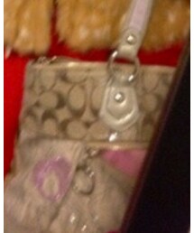 COACH | トートバッグ