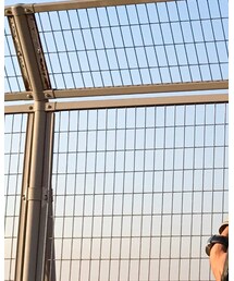 HARE | Tシャツ/カットソー