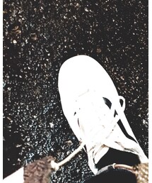 VANS | スニーカー