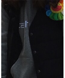 INHERIT | ダウンベスト