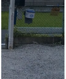 UNIQLO | ニット/セーター