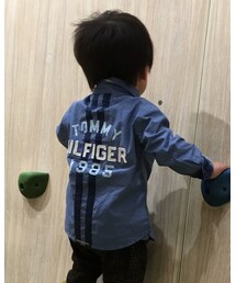 TOMMY HILFIGER | シャツ/ブラウス