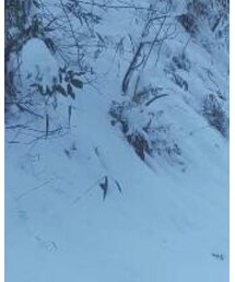 Columbia | ナイロンジャケット