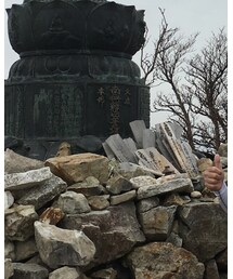 Berghaus | Tシャツ/カットソー