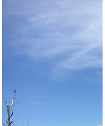 mont-bell | キャップ