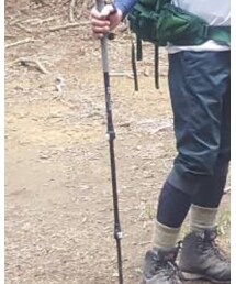 シナノ | その他