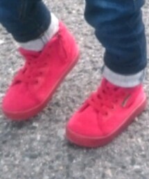 Ampersand | スニーカー