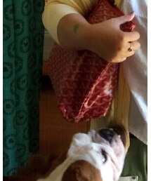 GOYARD | トートバッグ