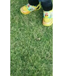 アンパンマン | シューズ