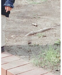 Birthday | スニーカー