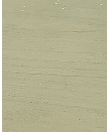 monmimi | Tシャツ/カットソー