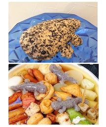 京都市水族館 | キモ可愛大好き❤️オオサンショウウオ🥰おでん😂（爆笑）(ポーチ)