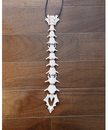 Village Vanguard | 獣骨ネクタイ☠️✨(ネクタイ)