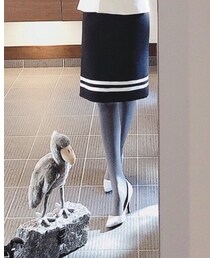 URBAN RESEARCH | ライン入りスカート♡ハシビロコウと撮影🤗(スカート)