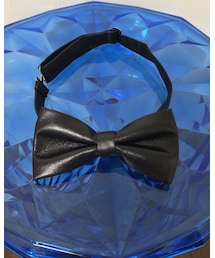 蝶ネクタイ | お澄まし♡タマちゃん（見えにくいけど蝶ネクタイつけてます）(蝶ネクタイ)