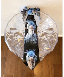 凛々しいハシビロ親方ネクタイ(笑) | 親方カッコイイーー👏✨(ネクタイ)