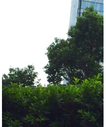 rienda | その他トップス