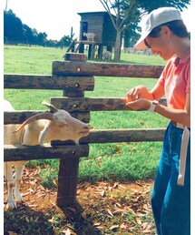 マザー牧場にて🐐 | その他