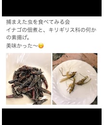 グロ注意⚠️ | その他