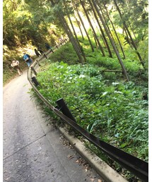 高尾山⛰ | その他