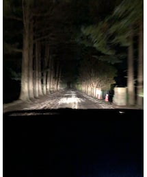 帰り道🐻🌠 | その他