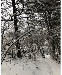 5日前☃️ | その他