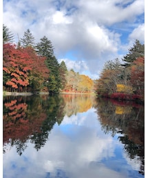 雲場池🍁 | その他