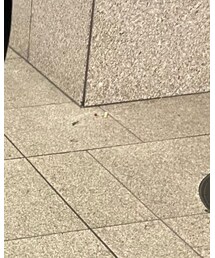 agnes b. | ジャケット/アウター