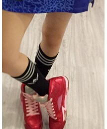 adidas Originals | タイツ/ストッキング