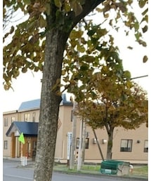 NEW ERA | キャップ