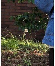 Loseyocherさん、フォルダイン嬉しいです🍀 | その他