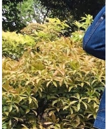 masakazuさん、ﾌｫﾙﾀﾞｲﾝありがとうございます🍀 | その他