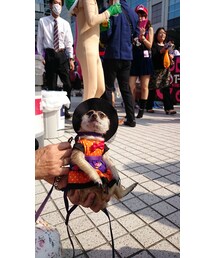 可愛い子ちゃん発見❤ | その他