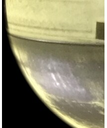 skate ramp | その他