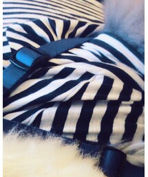 TOMMY HILFIGER | Tシャツ/カットソー