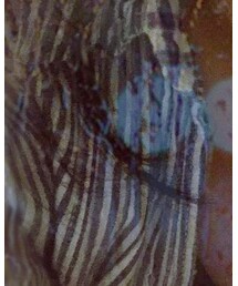 Abercrombie & Fitch | シャツ/ブラウス