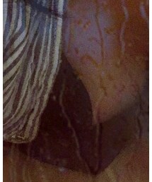 ZARA | ブラ&ショーツ