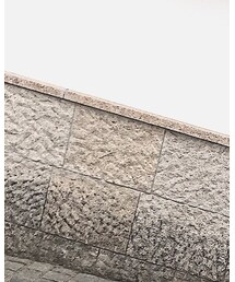 Daniel Wellington | アナログ腕時計