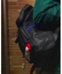 Alpha Industries | バックパック/リュック