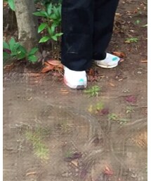 adidas | スニーカー