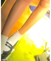 Champion | ソックス/靴下