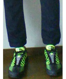 NIKE | エアマックス９５  20th ウルトラジャガード(シューズ)