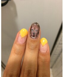 LION | がおー🐯(その他)