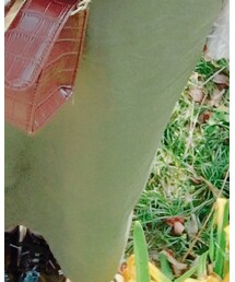 small change | スカート