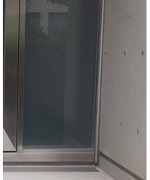 LAD MUSICIAN | Tシャツ/カットソー