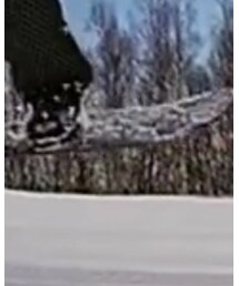 BURTON | スポーツグッズ