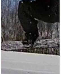 BURTON | その他シューズ