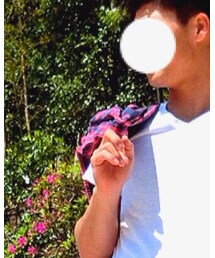 Hollister | シャツ/ブラウス